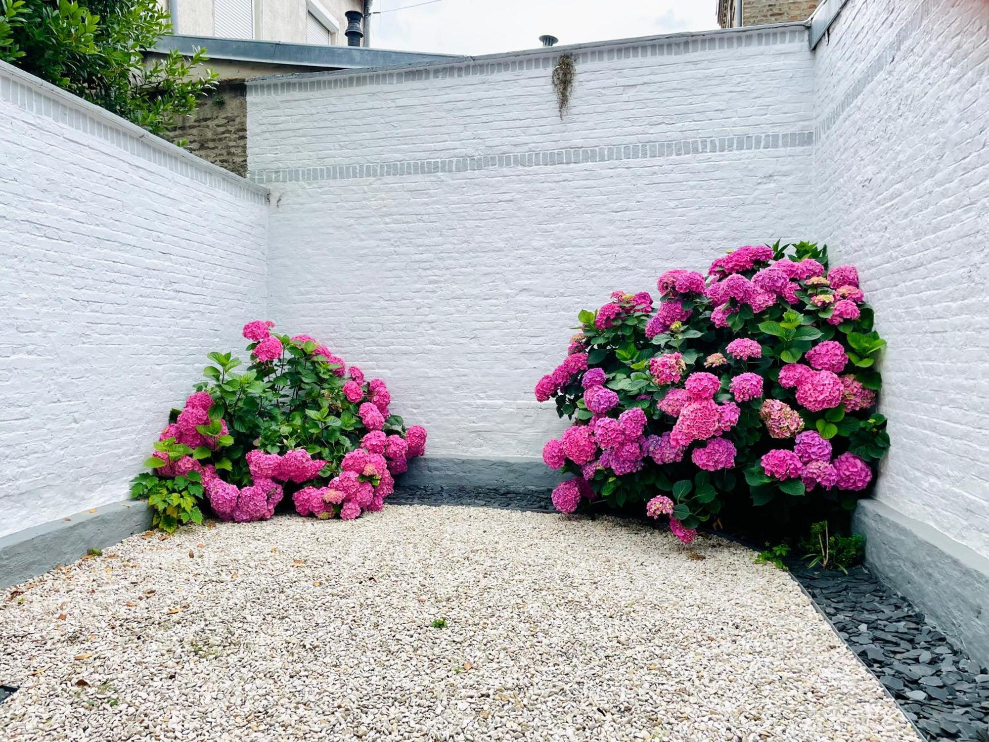 Jardins De Castille - 200M De La Gare - Home Cinema 阿棉 外观 照片
